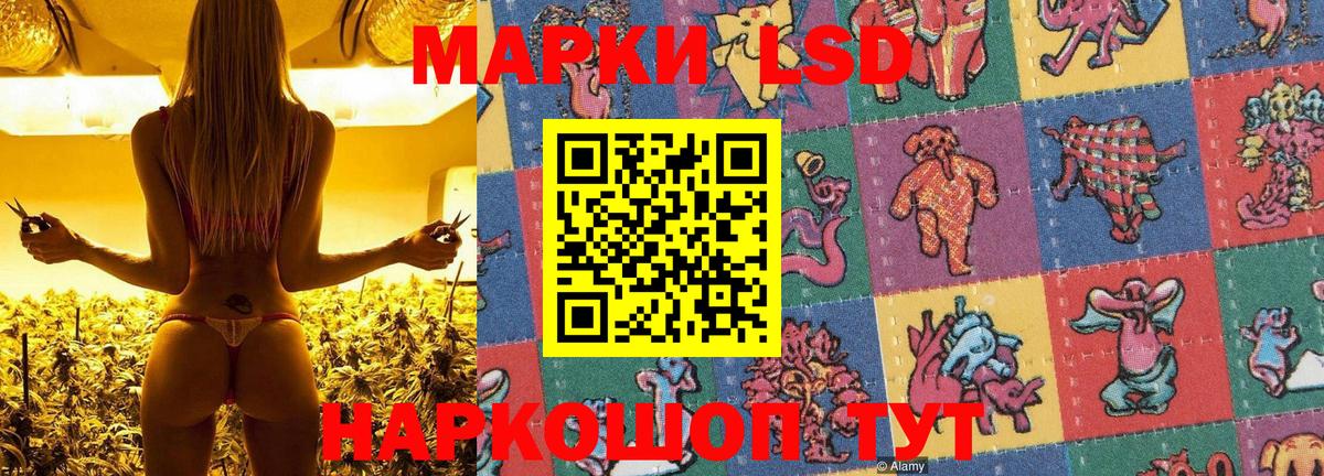 Новый Уренгой  Наркотические марки 1500мкг  Вход с VPN  Наркотические марки 1500мкг 